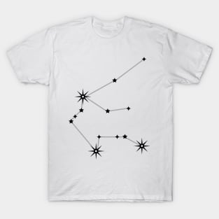 Aquarius T-Shirt